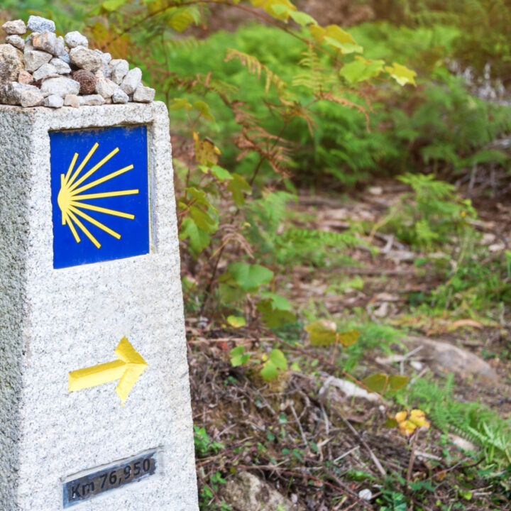 Camino de Santiago VIP
