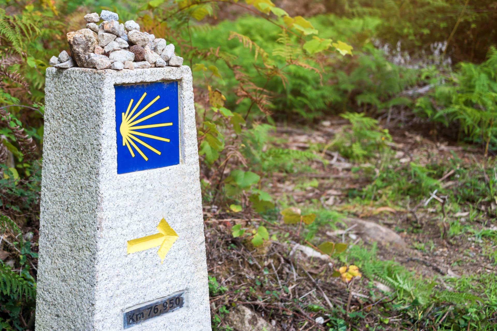 Camino de Santiago VIP