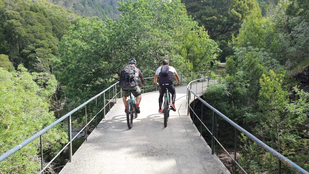 EL CAMINO DE SANTIAGO EN BICI