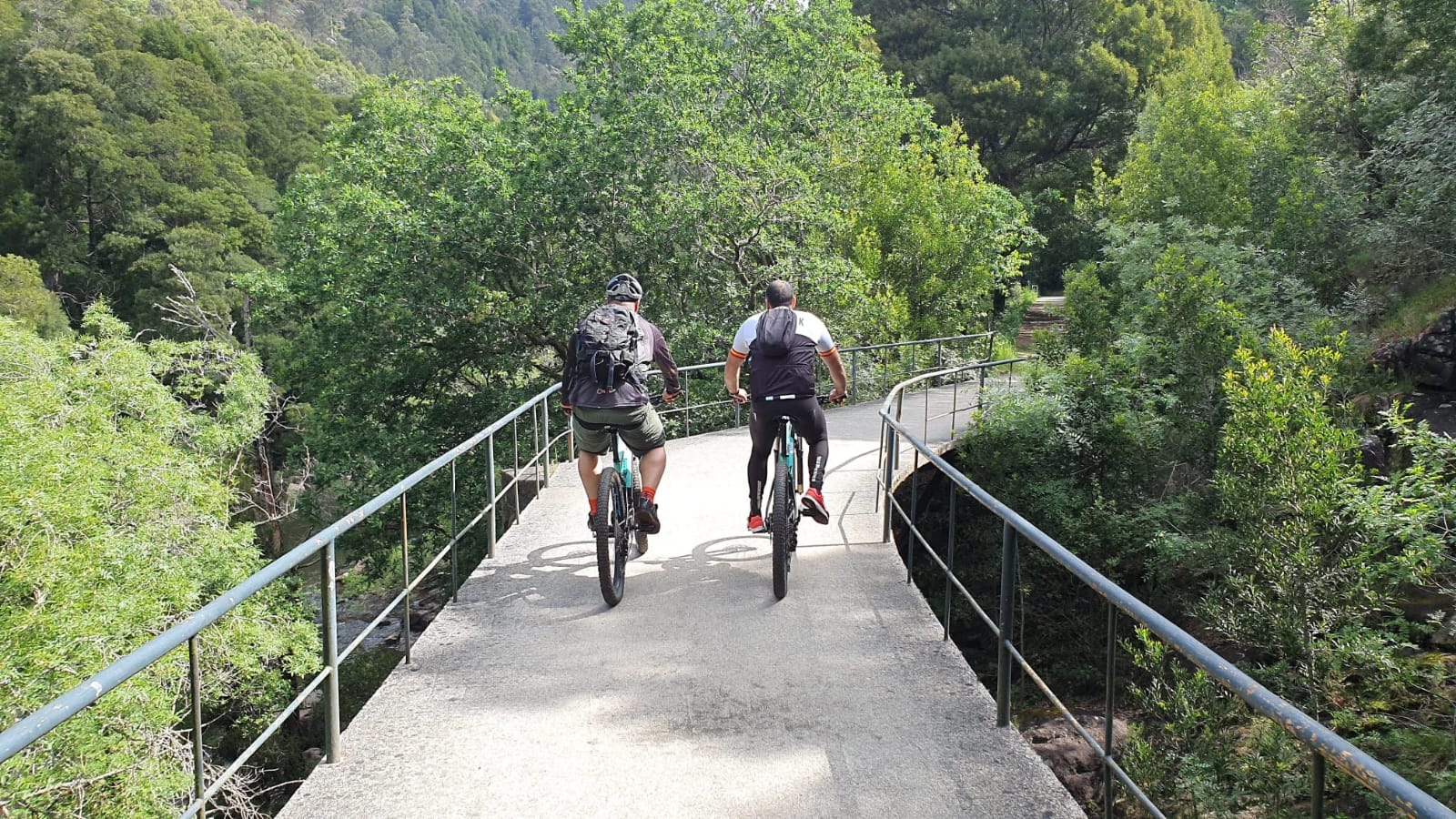 camino santiago en bici