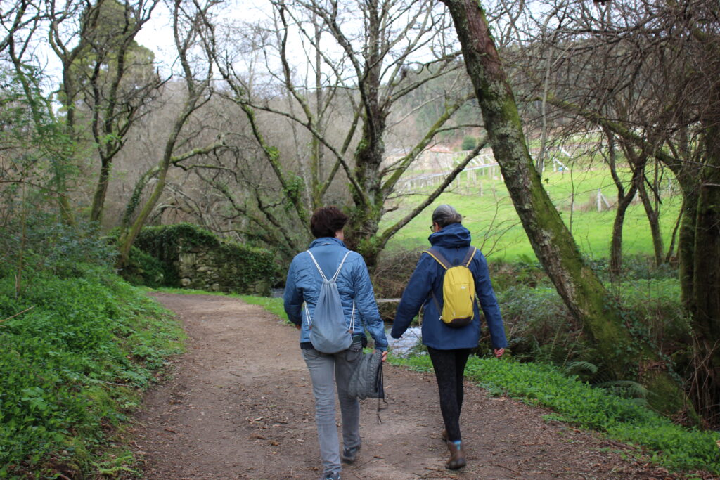 experiencia transformadora camino de santiago galisacra