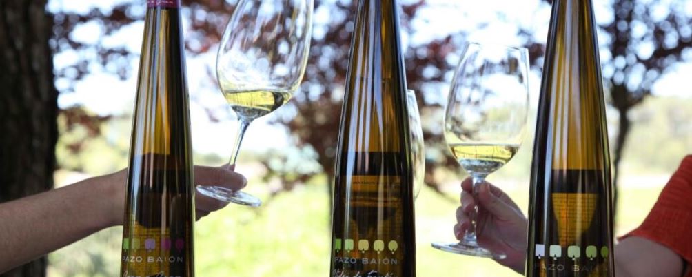 Vinos en Galicia Pazo Baion
