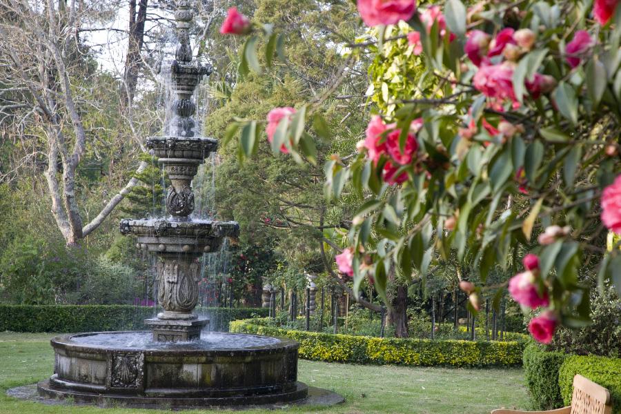 Rutas de las Camelias Pazo Quinteiro da Cruz