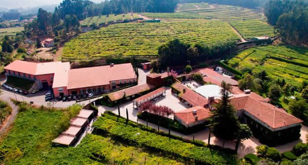 Vinos de Galicia Pazo de Señorans