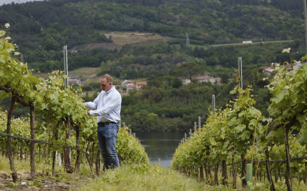 Vinos de Galicia Ramon Casar