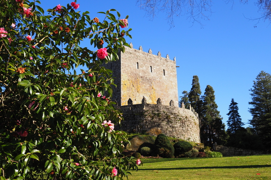 VIAJES CULTURALES EN GALICIA pazo