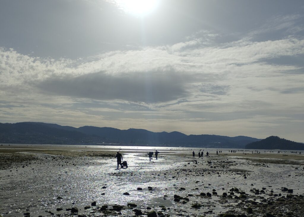 viaje cultural Mariscar Combarro2