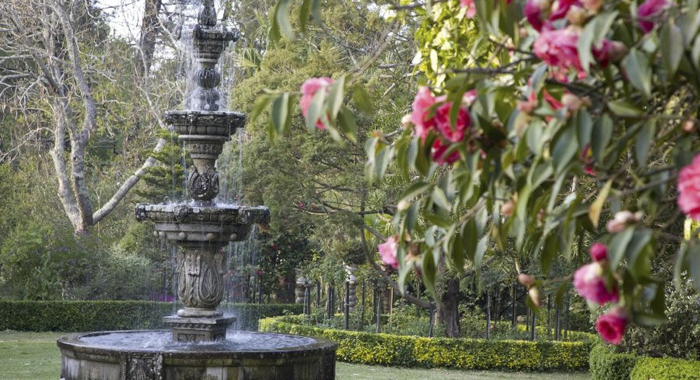Ruta de la Camelia en Galicia