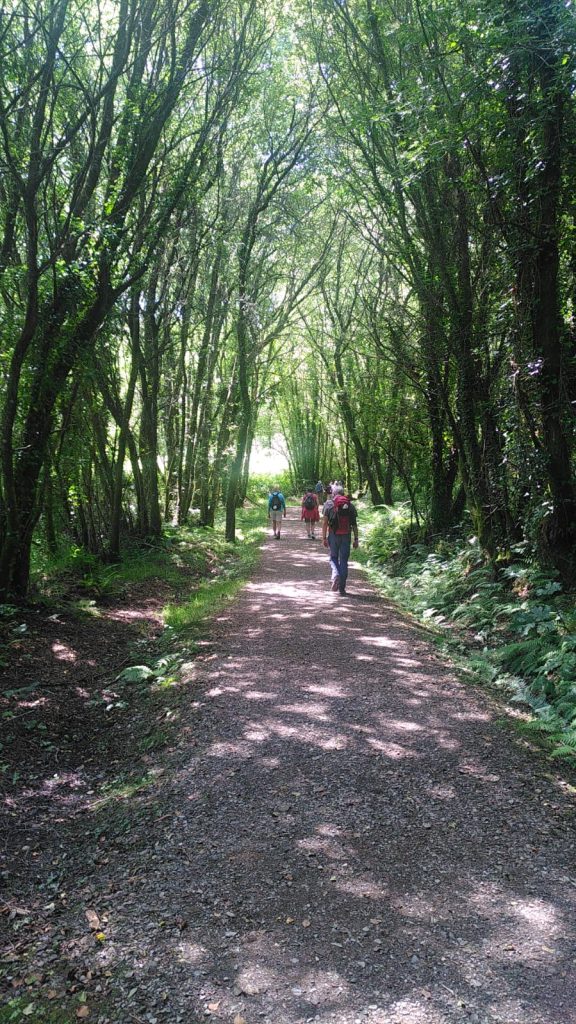 que llevar para el camino de santiago